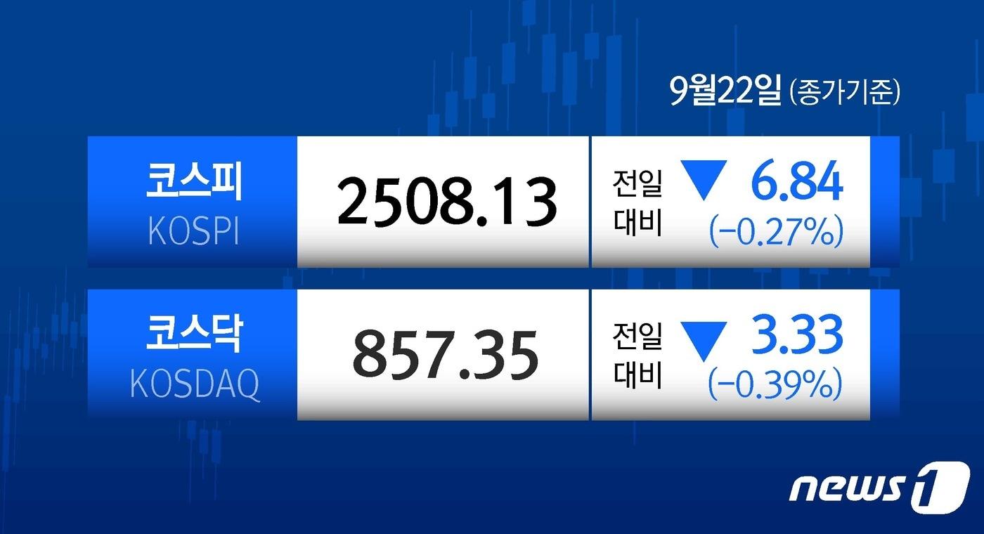 본문 이미지 - ⓒ News1 윤주희 디자이너