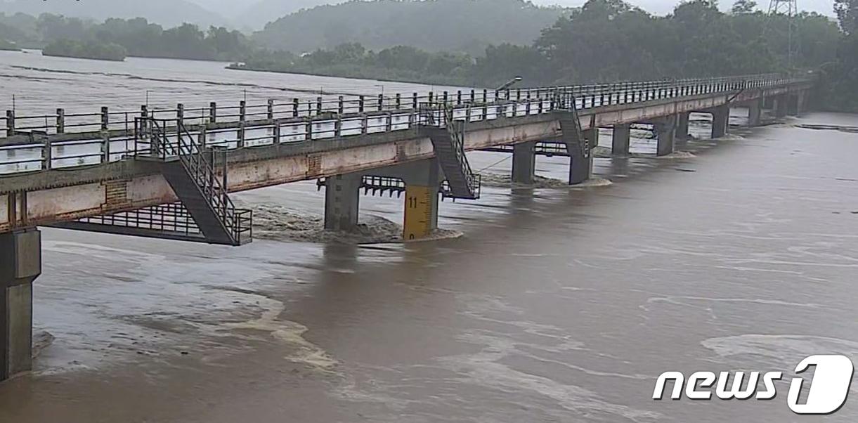 본문 이미지 - 파주 파평면에 위치한 임진강 '리비교' /뉴스1 DB