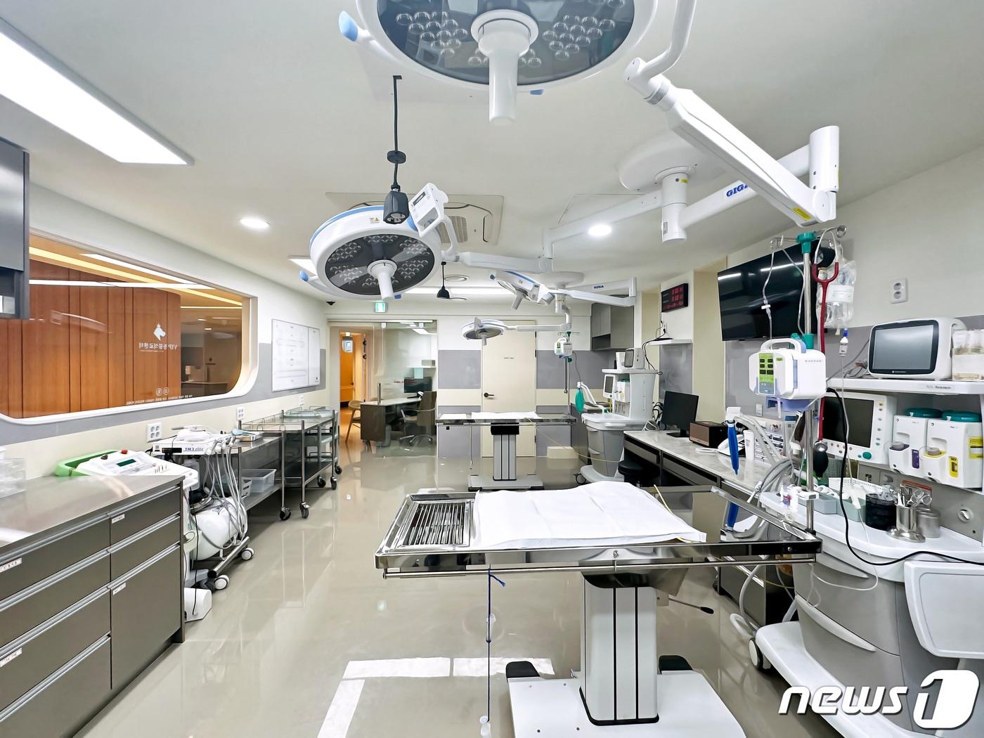 본문 이미지 - VIP동물의료센터 청담점 치과센터 수술실&#40;VIP동물의료센터 제공&#41; ⓒ 뉴스1