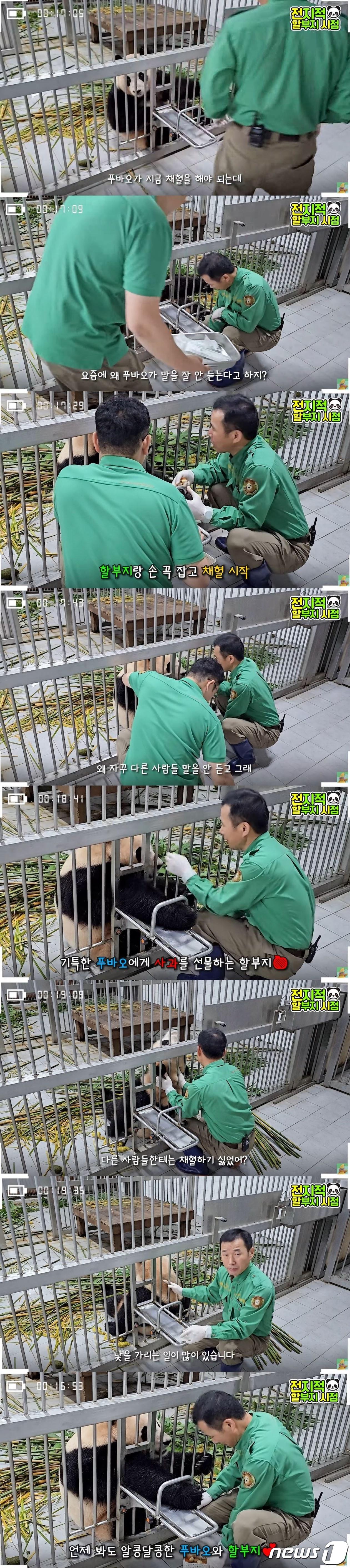 본문 이미지 - (유튜브 '말하는동물원 뿌빠TV')