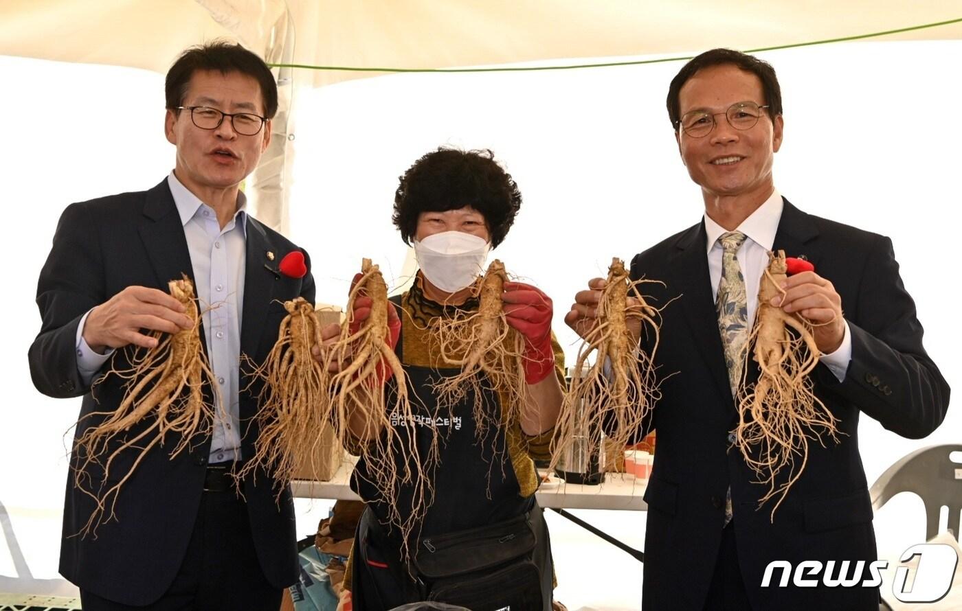 본문 이미지 -  4일 충북 음성군은 2023 음성명작페스티벌이 오는 21일부터 24일까지 금왕읍 금빛근린공원에서 열린다고 밝혔다. 사진은 지난해 축제장에서 음성인삼을 들고 사진을 촬영하고 있는 임호선 의원(왼쪽)과 조병옥 군수(오른쪽).(음성군 제공)2023.9.4/뉴스1