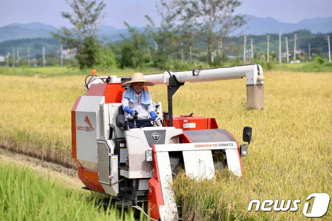 본문 이미지 - 충북 증평군의 올해 첫 벼 베기가 증평읍 남차리 김태복씨 논(0.6㏊)에서 이뤄졌다.(증평군 제공)/뉴스1