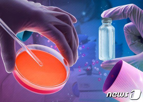 본문 이미지 - ⓒ News1 DB