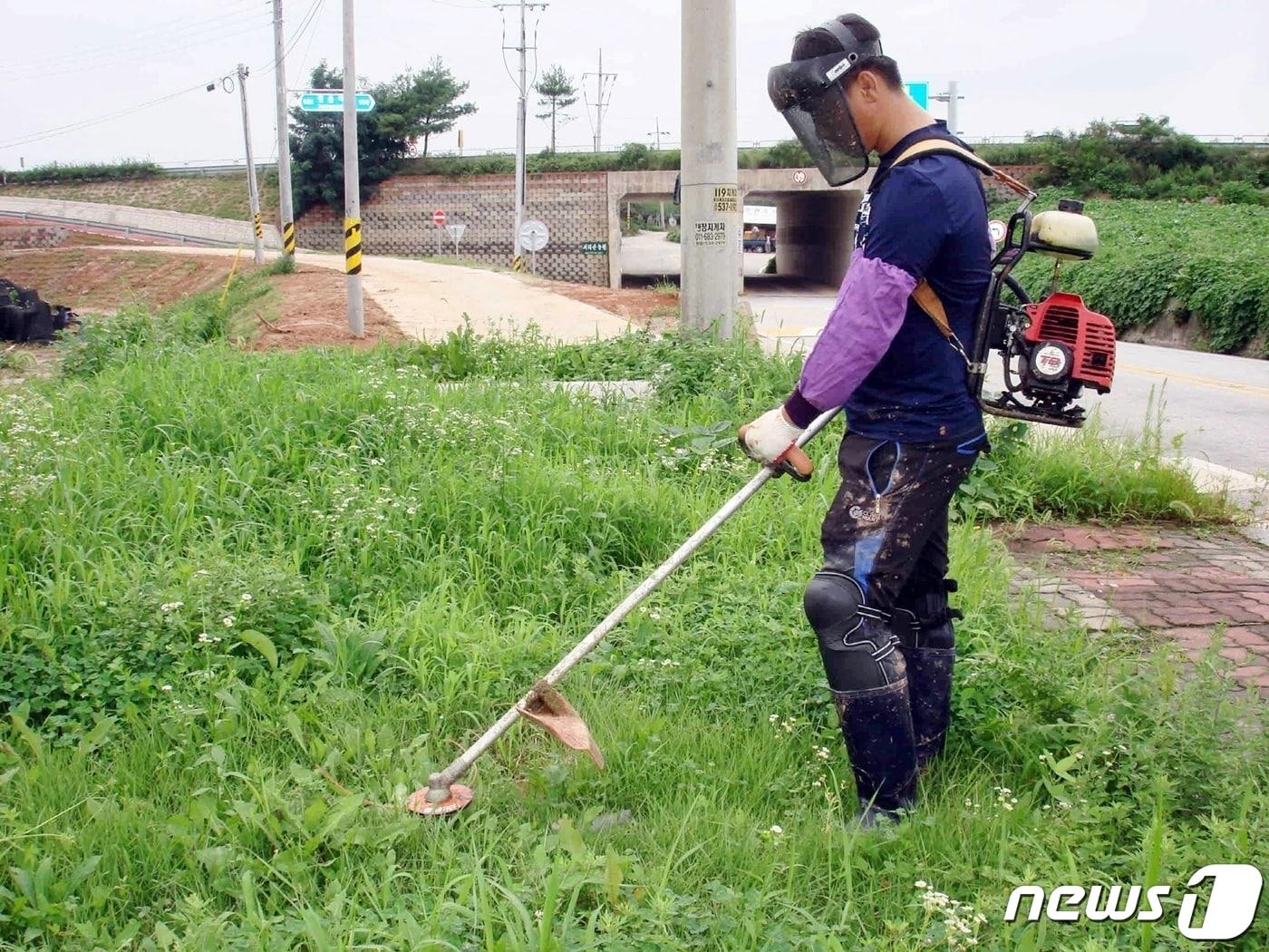 본문 이미지 -  전북 정읍시 농업기술센터는 추석을 맞아 예초기 특별 점검 정비를 실시하고 임대사업소를 통해 저렴한 가격에 임대해 준다.(정읍시 제공)2023.9.7/뉴스1