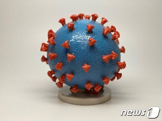 본문 이미지 - 신종 코로나바이러스 감염증(코로나19) 모형도. ⓒ 로이터=뉴스1 ⓒ News1 정윤영 기자