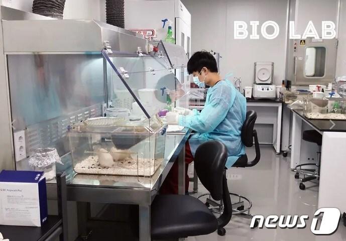 본문 이미지 - 보로노이 연구원이 바이오 연구실에서 동물실험 등을 진행하고 있다.(보로노이 제공)