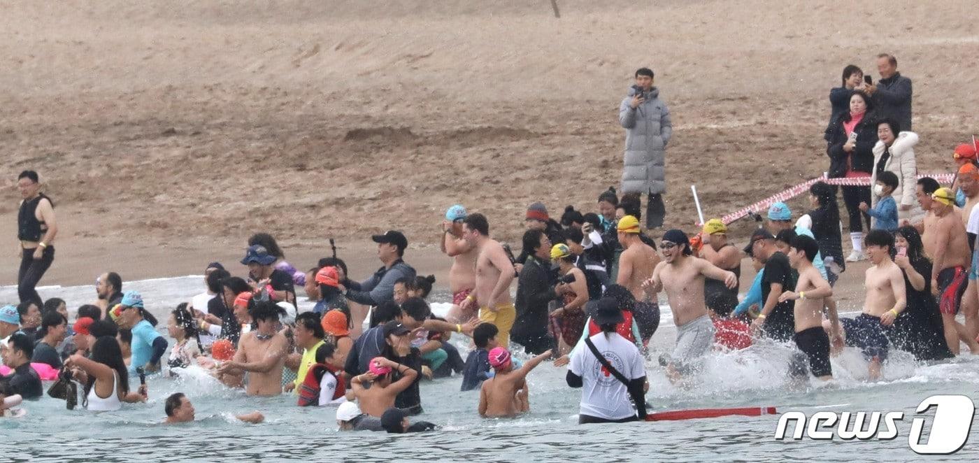 서귀포국제팽귄수영대회(자료사진)/뉴스1