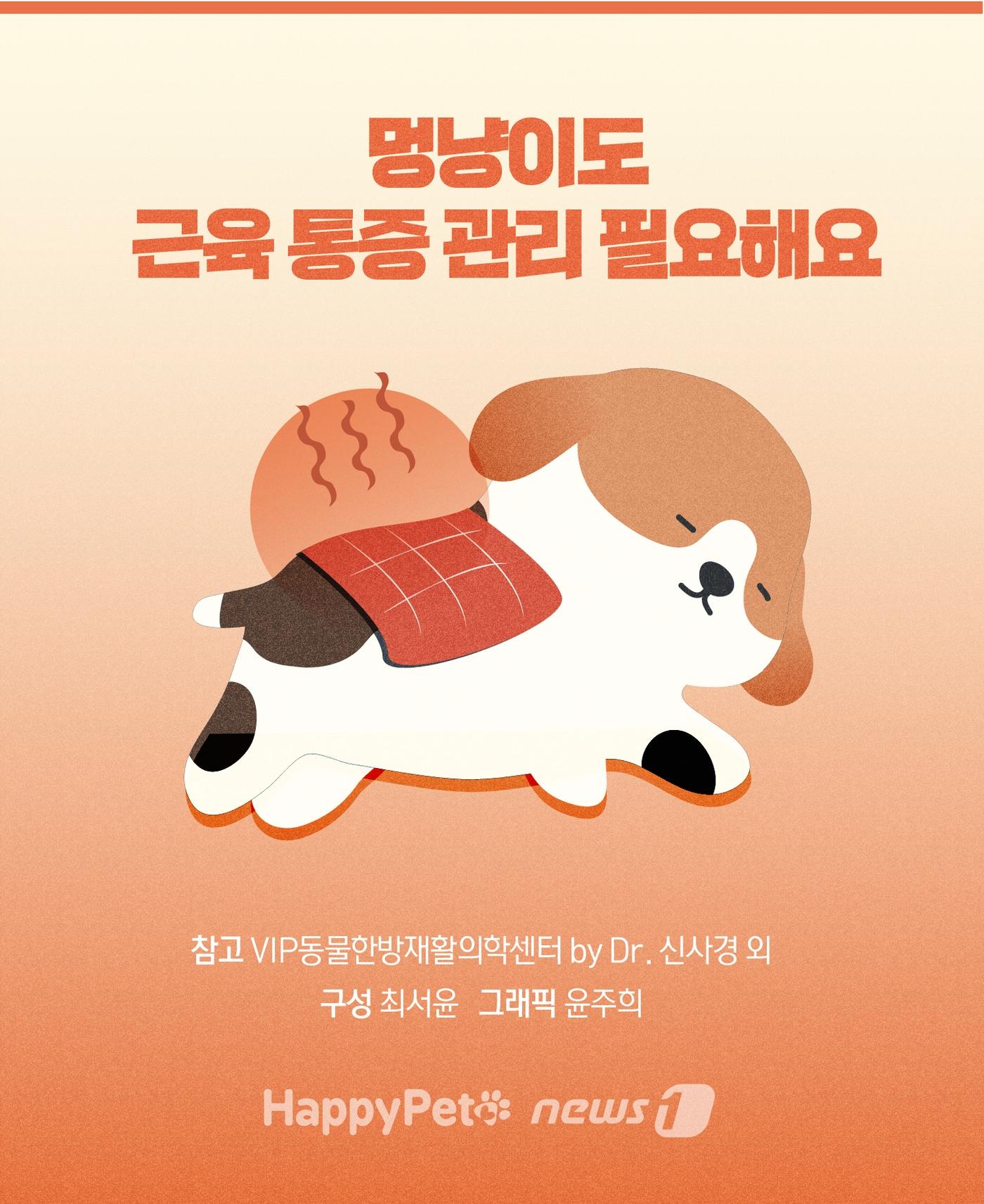 본문 이미지 - 홈케어 온열치료 펫카드 ⓒ 뉴스1