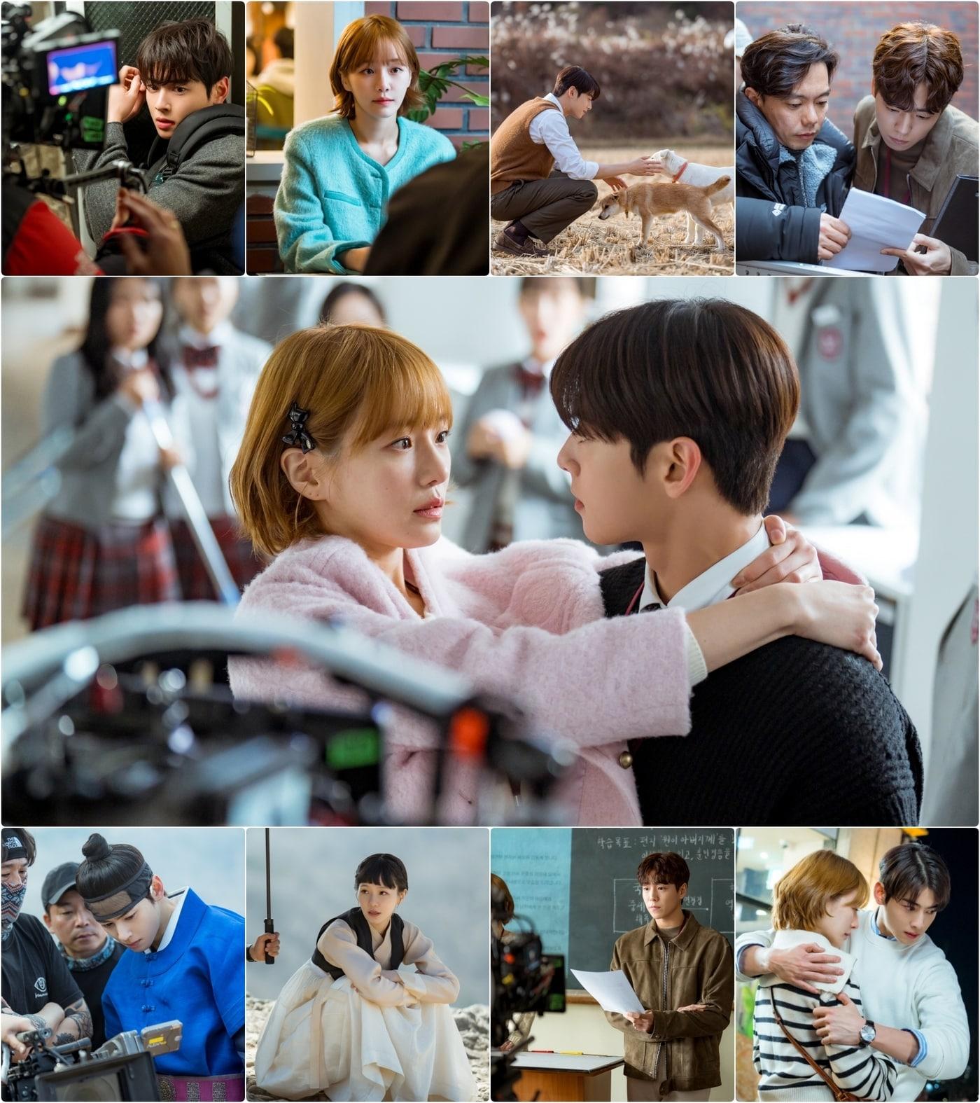 본문 이미지 - 사진=MBC '오늘도 사랑스럽개'