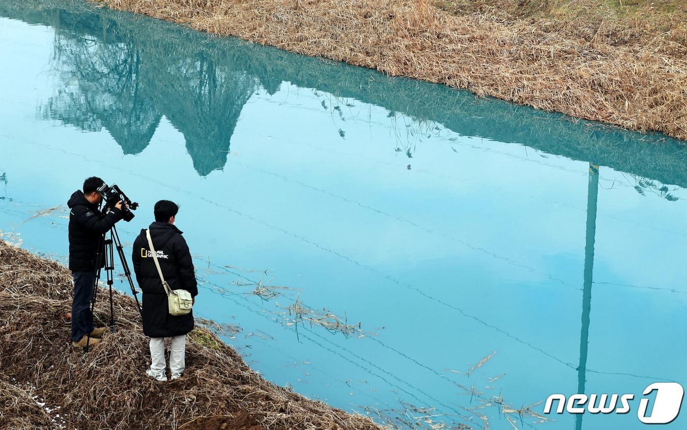 1월 경기 평택시 청북읍 관리천 일대가 화재 처리수 및 오염수 유입으로 파랗게 오염된 모습. ⓒ News1 김영운 기자
