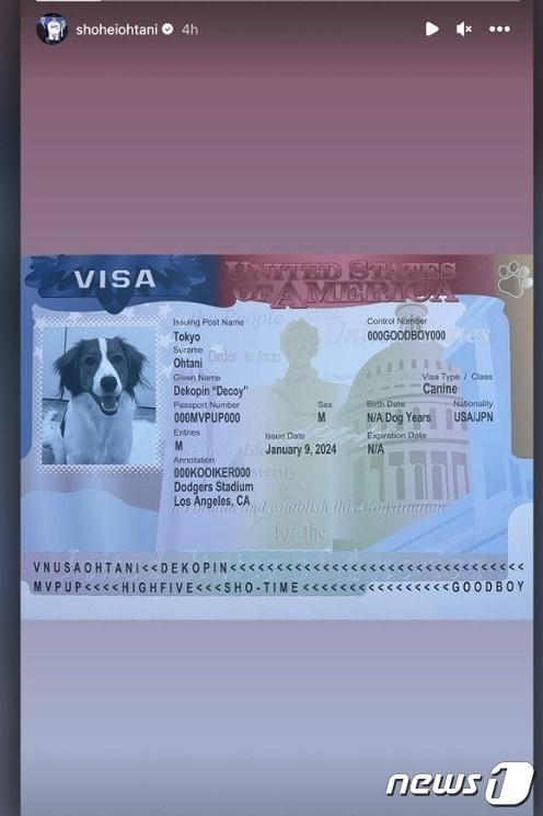 본문 이미지 - (MLB 공식 트위터 갈무리)