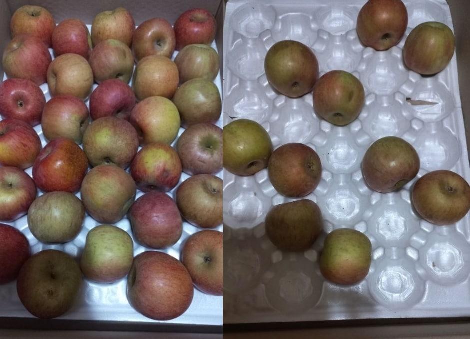 본문 이미지 - (자영업자·소상공인 커뮤니티 '아프니까 사장이다' 갈무리) /뉴스1