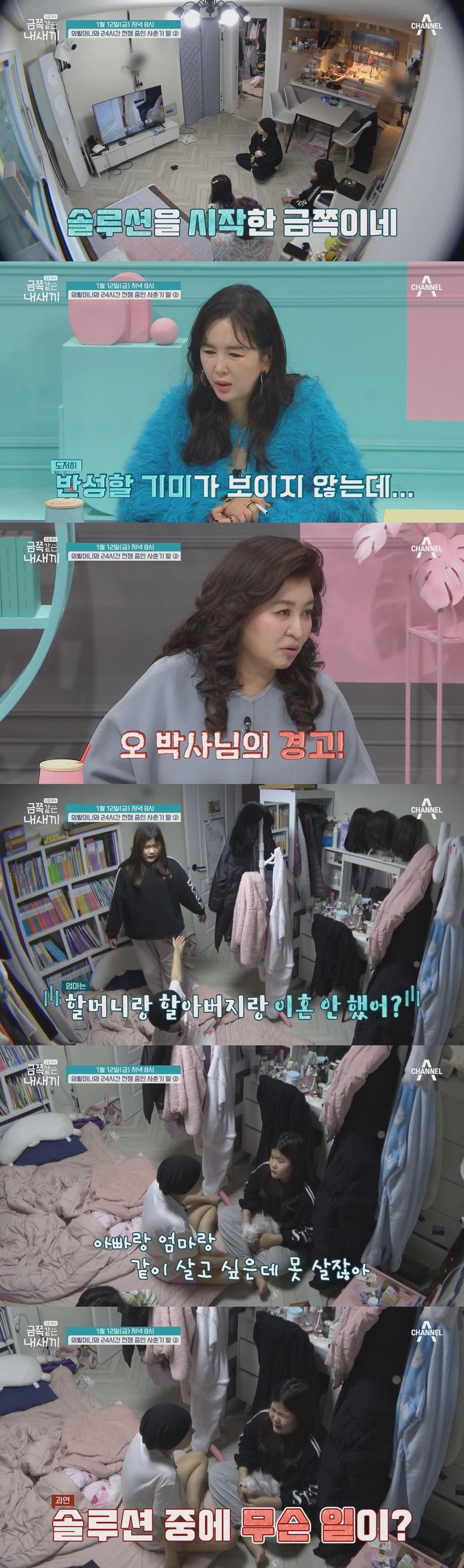 본문 이미지 - 채널A