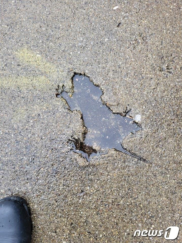 본문 이미지 - 시카고 로스코 빌리지에 있는 쥐 모양의 팟홀&#40;Chicago Rat Hole&#41;이 별안간 시카고의 새 명소로 급부상했다. 사진은 예술가이자 코미디언인 윈슬로우 듀메인이 X에 글과 함께 처음 올린 사진.