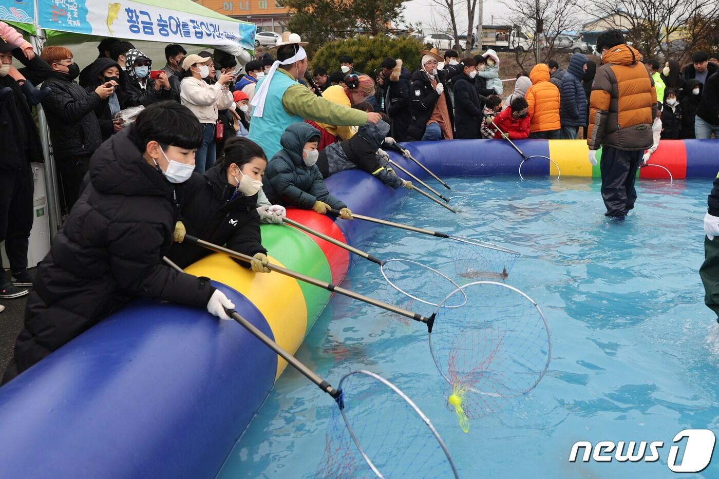 본문 이미지 - 2023년 무안겨울숭어축제 숭어잡기체험 (무안군 제공)/뉴스1 