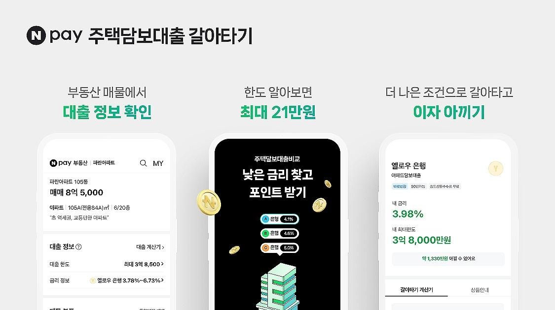 본문 이미지 - (네이버페이 제공)