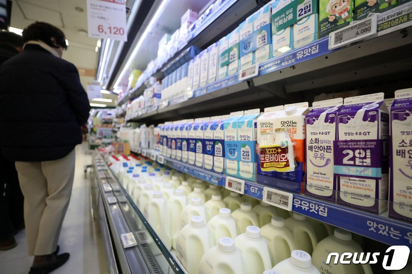 본문 이미지 - 대형 마트에  진열돼 있는 우유 제품들(뉴스1/DB) ⓒ News1 