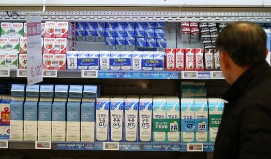 본문 이미지 - 서울 시내의 한 대형 마트에 우유 제품들이 진열돼 있다. 2024.1.18/뉴스1 ⓒ News1 이승배 기자