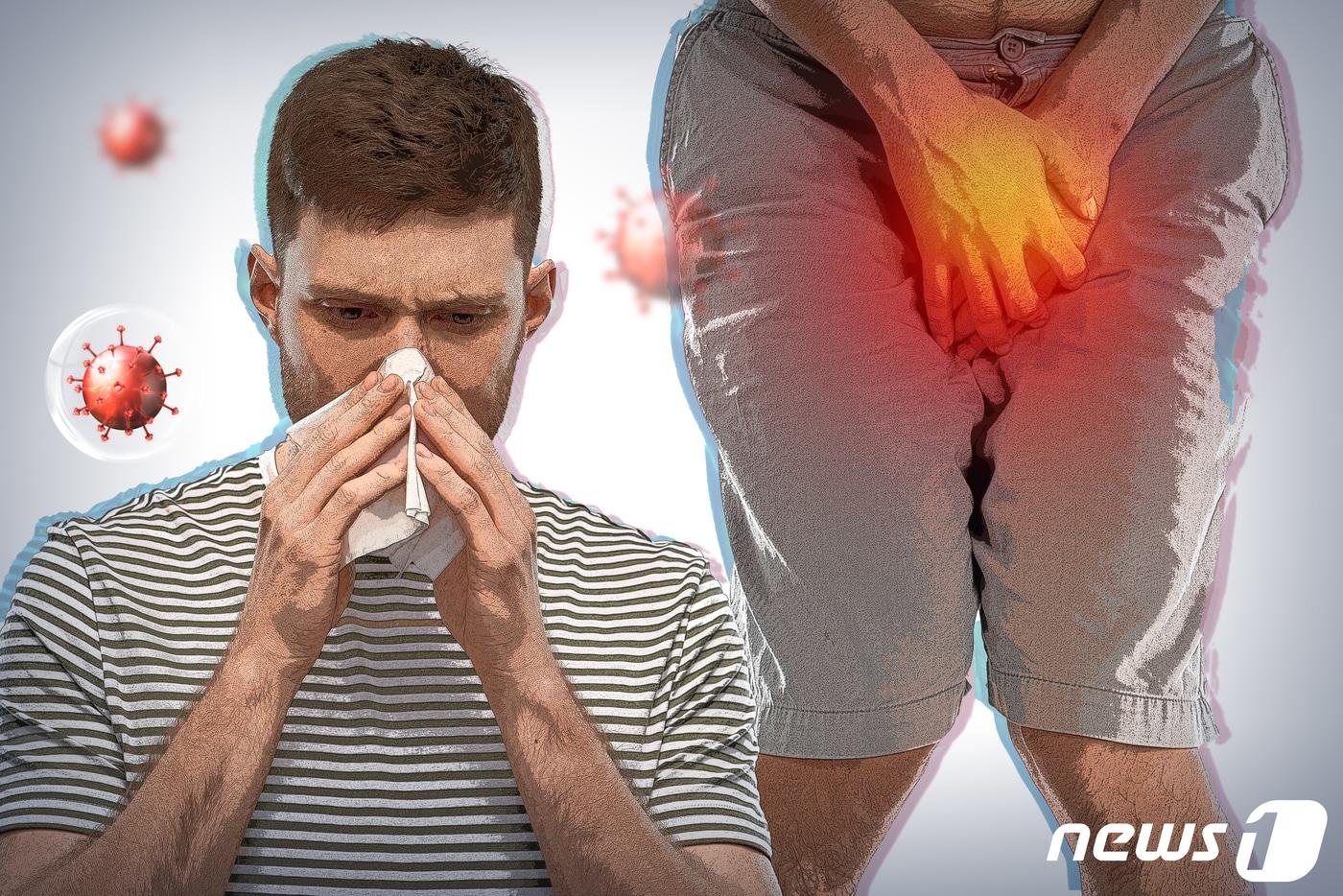 ⓒ News1 양혜림 디자이너