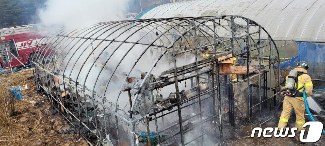 본문 이미지 - 비닐하우스 화재 사진(사진은 기사 내용과 무관함) 2023.1.2 ⓒ 뉴스1 박지현 기자