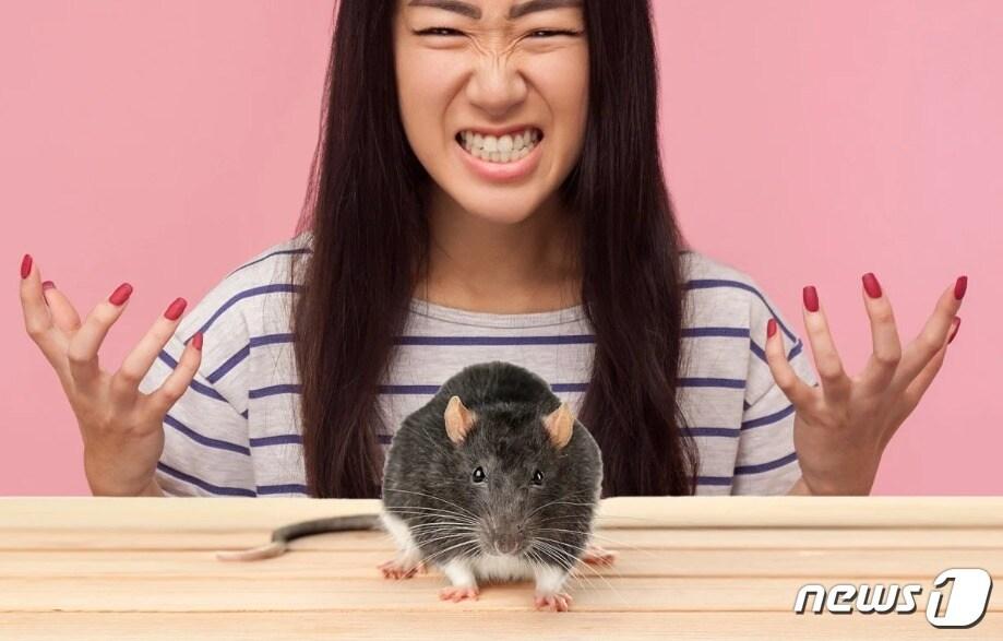 본문 이미지 - SCMP 갈무리