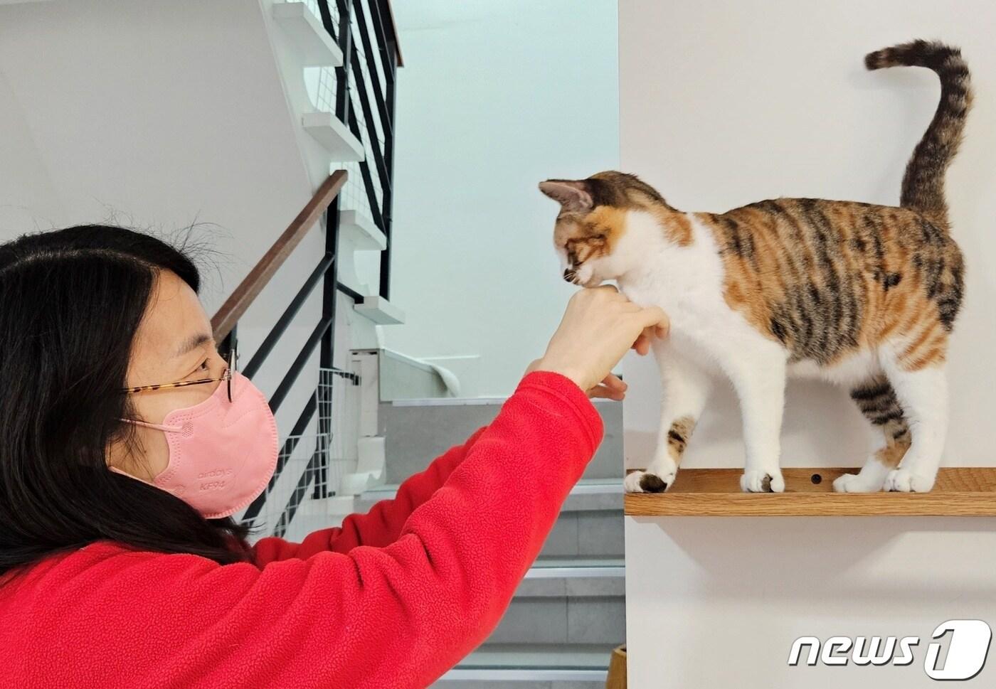 본문 이미지 - 대한수의사회 임직원들은 2일 서울 나비야사랑해 보호소에서 시무식 겸 봉사활동을 진행했다. ⓒ 뉴스1 최서윤 기자