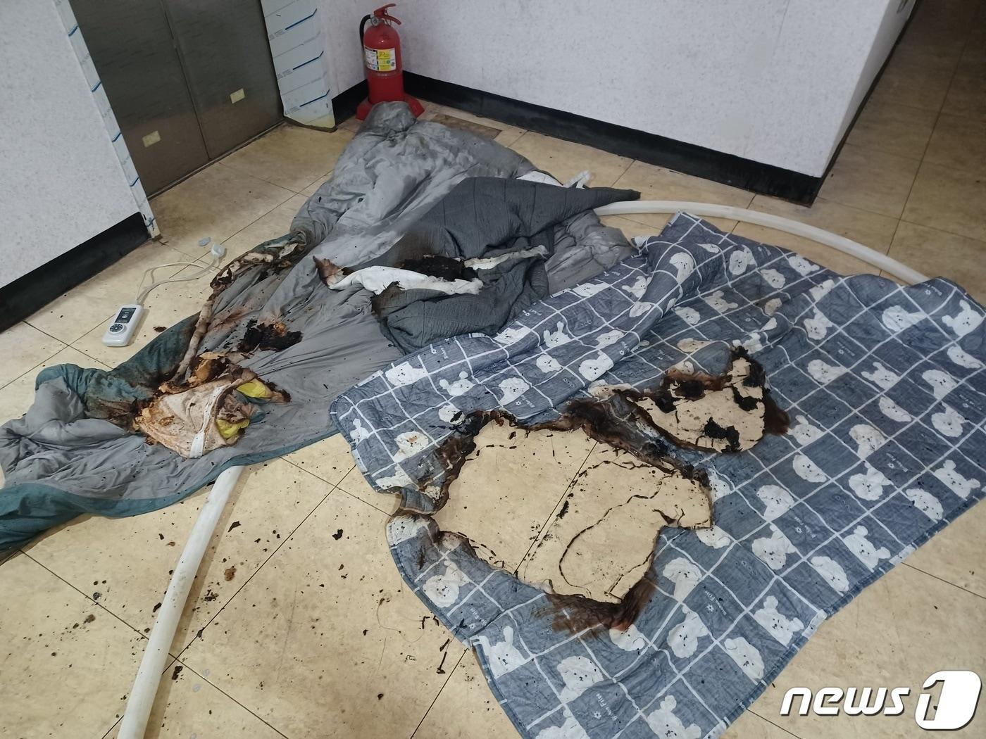 본문 이미지 - 전기장판 화재 자료사진.(부천소방서 제공)2024.1.22/뉴스1 