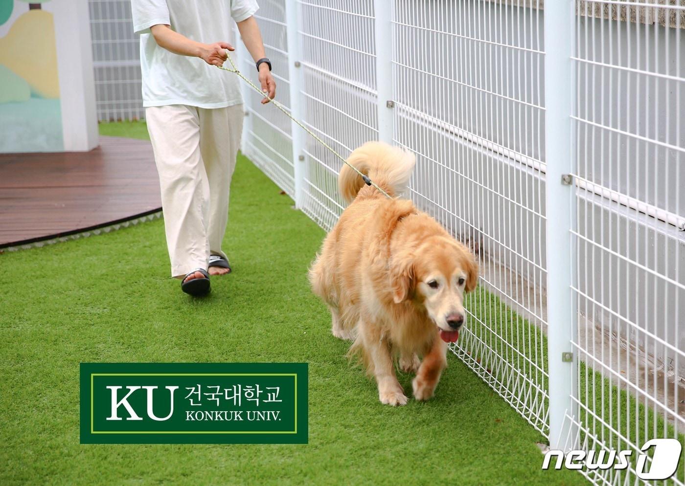 건국대 미래지식교육원은 '애완동물관리전공'을 신설했다.(건국대 제공) ⓒ 뉴스1