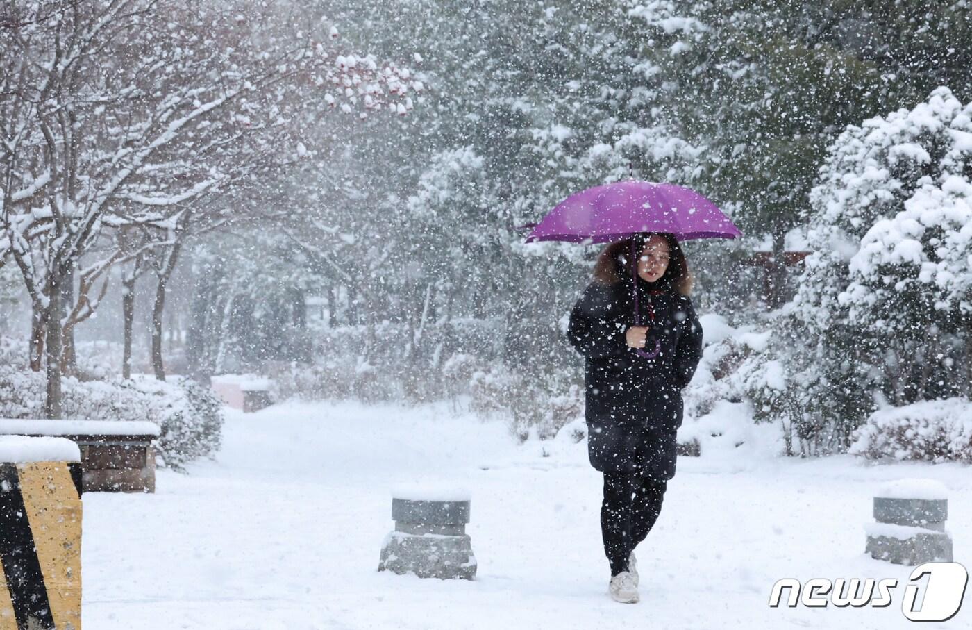본문 이미지 - 23일 광주와 전남에 대설경보가 발효돼 최대 13.5㎝의 눈이 내린가운데 광주 서구 상무동 거리에 시민이 눈길을 걷고 있다. 2024.1.23/뉴스1 ⓒ News1 김태성 기자