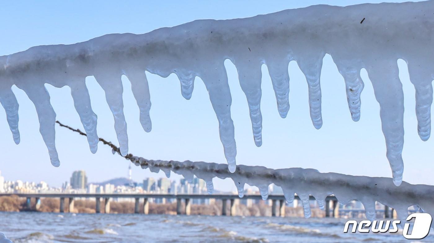 본문 이미지 - 한파가 이어지고 있는 23일 서울 여의도 한강공원 강변에 고드름이 얼어 있다./뉴스1 ⓒ News1 김도우 기자
