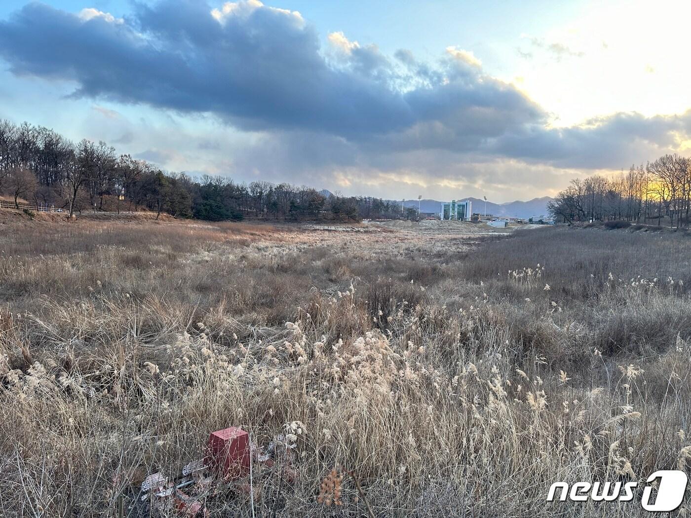 본문 이미지 -  24일 한국농어촌공사가 충북 충주 호암지 제방 공사를 오는 12월 마무리할 것으로 알려지면서 3년째 물이 절반만 차 있던 호수에 수달이 다시 돌아올 지 관심이 높아지고 있다. 사진은 가물막이 공사로 인해 잡초가 자라난 호암지. 2024.1.24/뉴스1