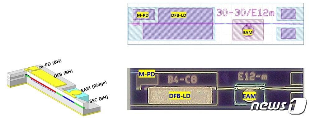 본문 이미지 - 광모드 변환기 및 모니터링 광검출기 집적 224Gbps 전계흡수변조형 광원 소자. (전자통신연 제공)/뉴스1
