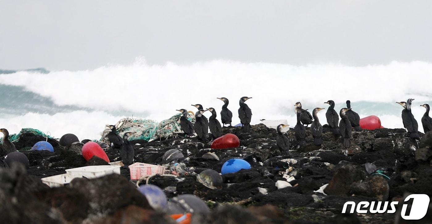 자료사진. ⓒ News1 고동명 기자