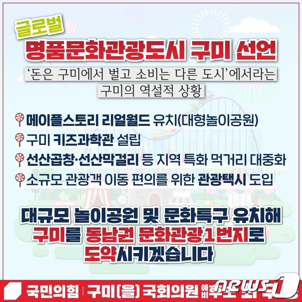 본문 이미지 - 최우영 공약 카드/뉴스1