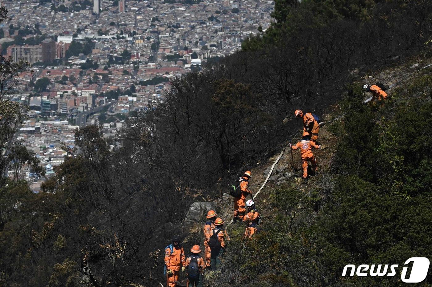 24일(현지시각) 엘니뇨 현상에 따른 이상 고온으로 산불이 발생한 콜롬비아 보고타에서 소방대원들이 진화 작업을 하고 있다. 2024.01.25 ⓒ AFP=뉴스1 ⓒ News1 우동명 기자
