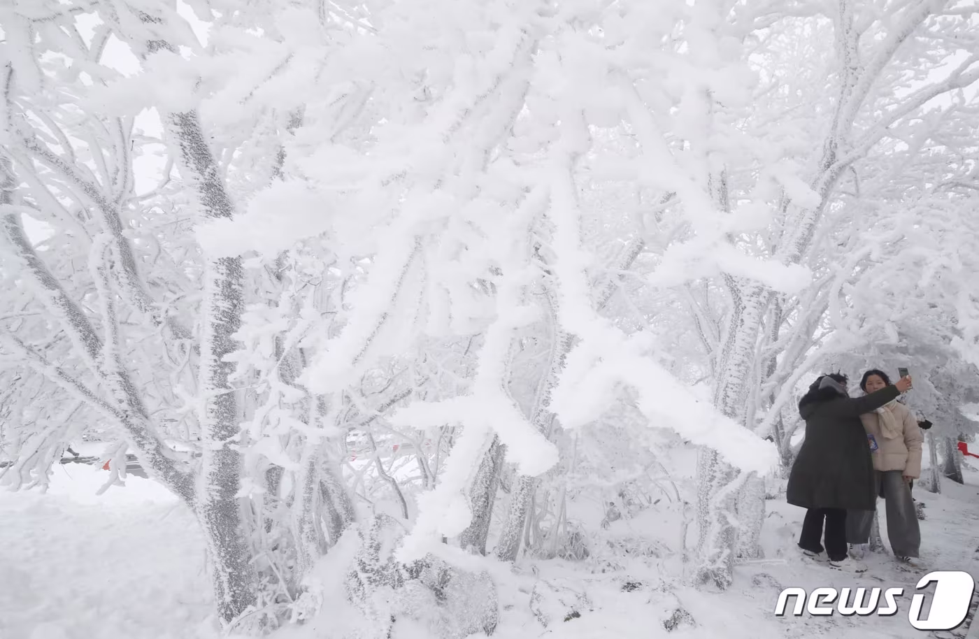 제주 산지에 내려진 대설특보가 해제된 25일 오전 한라산국립공원 1100고지휴게소에서 관광객들이 설경을 감상하고 있다. 2024.1.25/뉴스1 ⓒ News1 오현지 기자