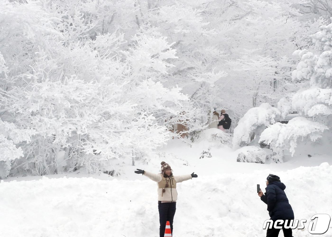 본문 이미지 - 한라산국립공원 1100고지휴게소에서 관광객들이 설경을 감상하고 있다. 2024.1.25/뉴스1 ⓒ News1 오현지 기자