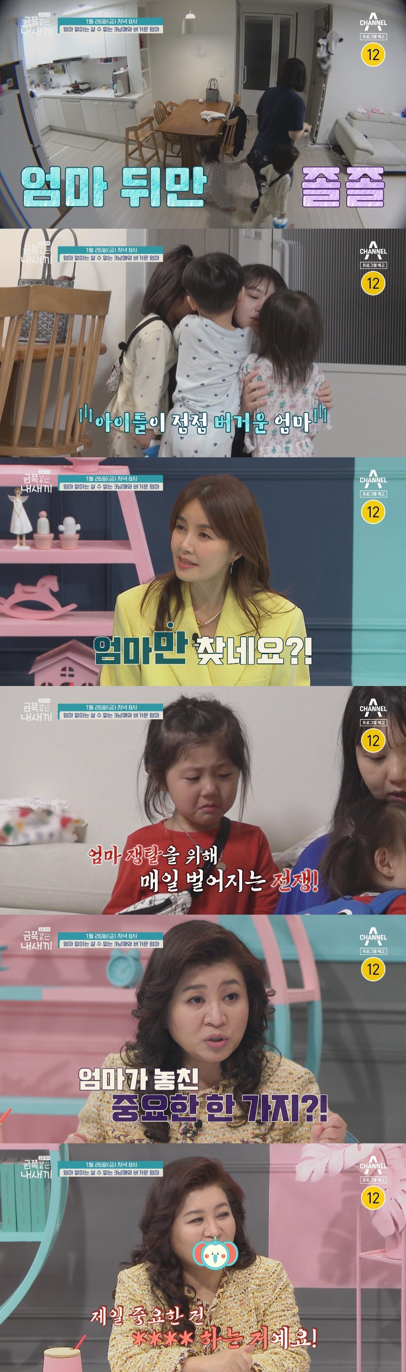 본문 이미지 - 채널A