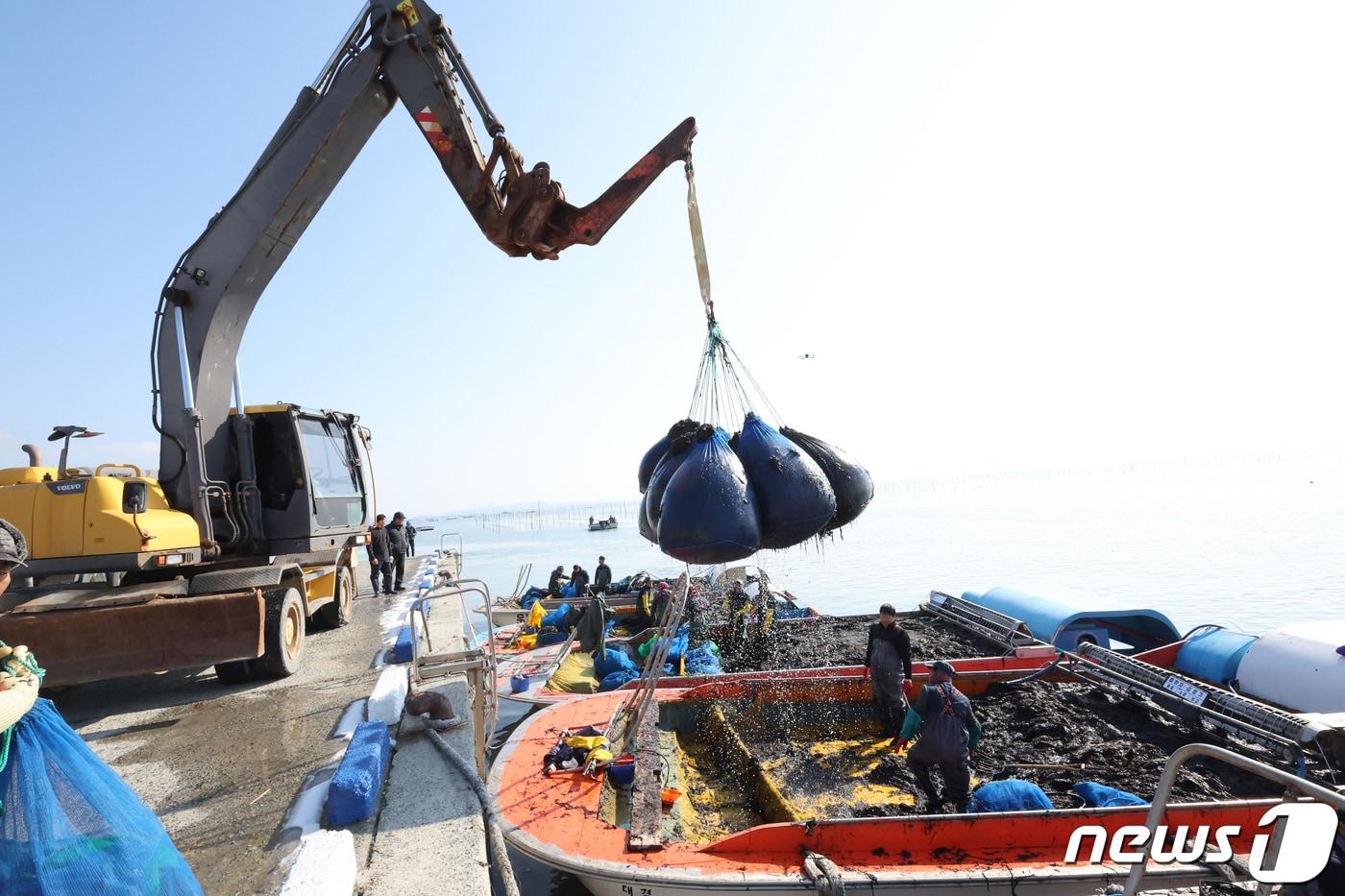26일 전남 신안군 압해읍 앞바다 지주식 김양식장에서 어민들이 채취한 물김이 위판을 끝내고 운반하고 있다. 2024.1.26/뉴스1 ⓒ News1 김태성 기자