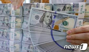 본문 이미지 -  서울 중구 하나은행 명동점 위변조대응센터에서 직원이 달러화를 정리하고 있다. 2024.1.29 ⓒ 뉴스1 안은나 기자