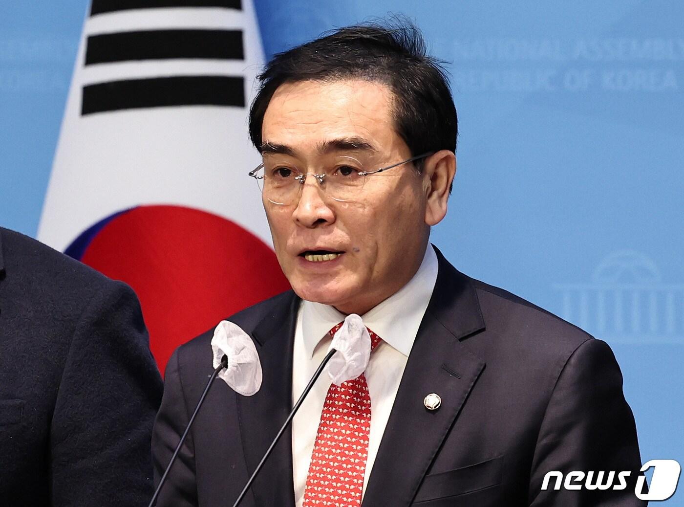 본문 이미지 - 태영호 전 국민의힘 의원. 2024.1.29/뉴스1 ⓒ News1 구윤성 기자