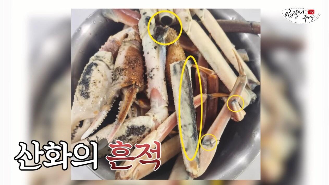 본문 이미지 - ('입질의 추억' 갈무리)