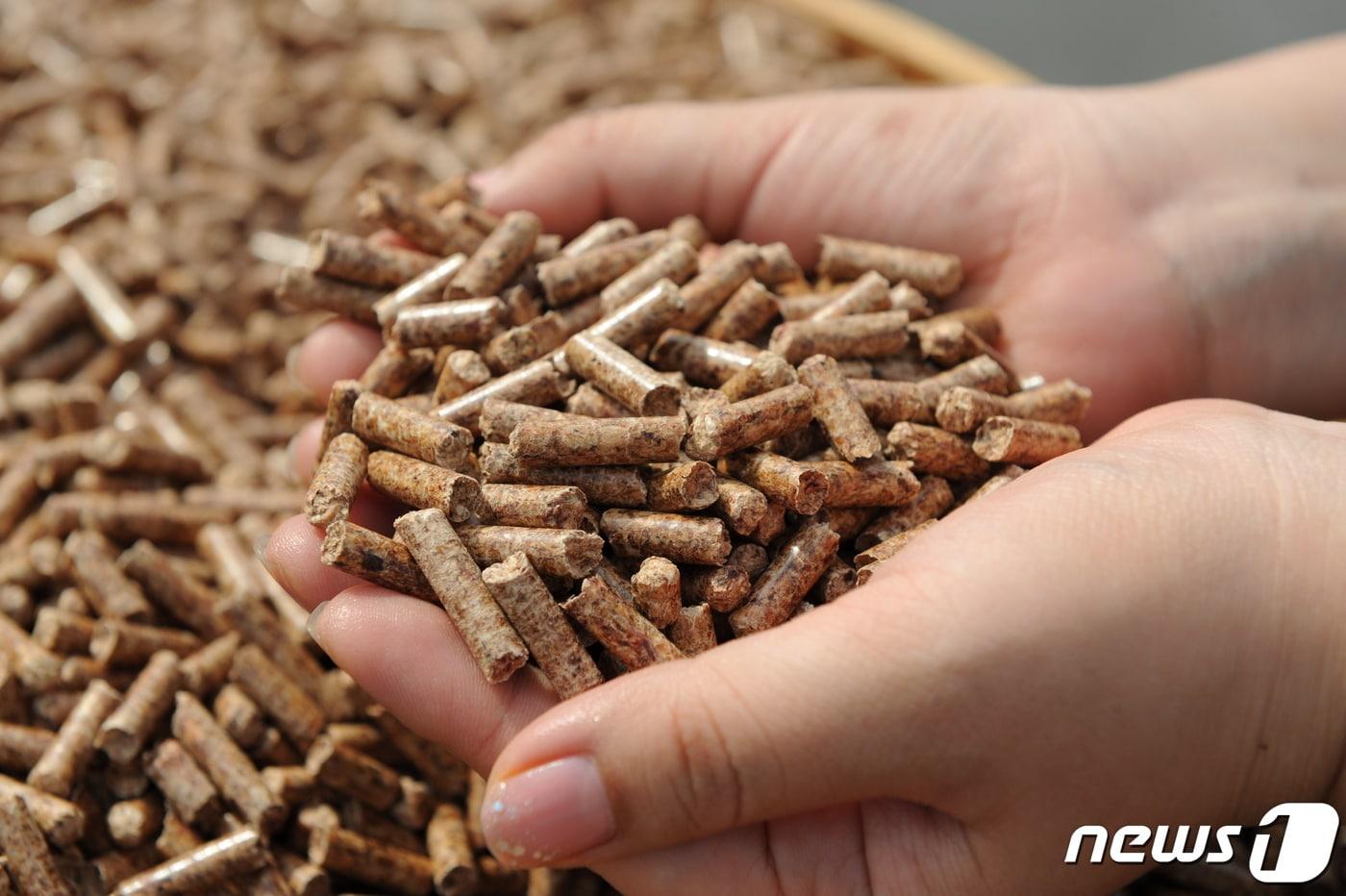 본문 이미지 - 목재펠릿.  (산림청 제공) /뉴스1
