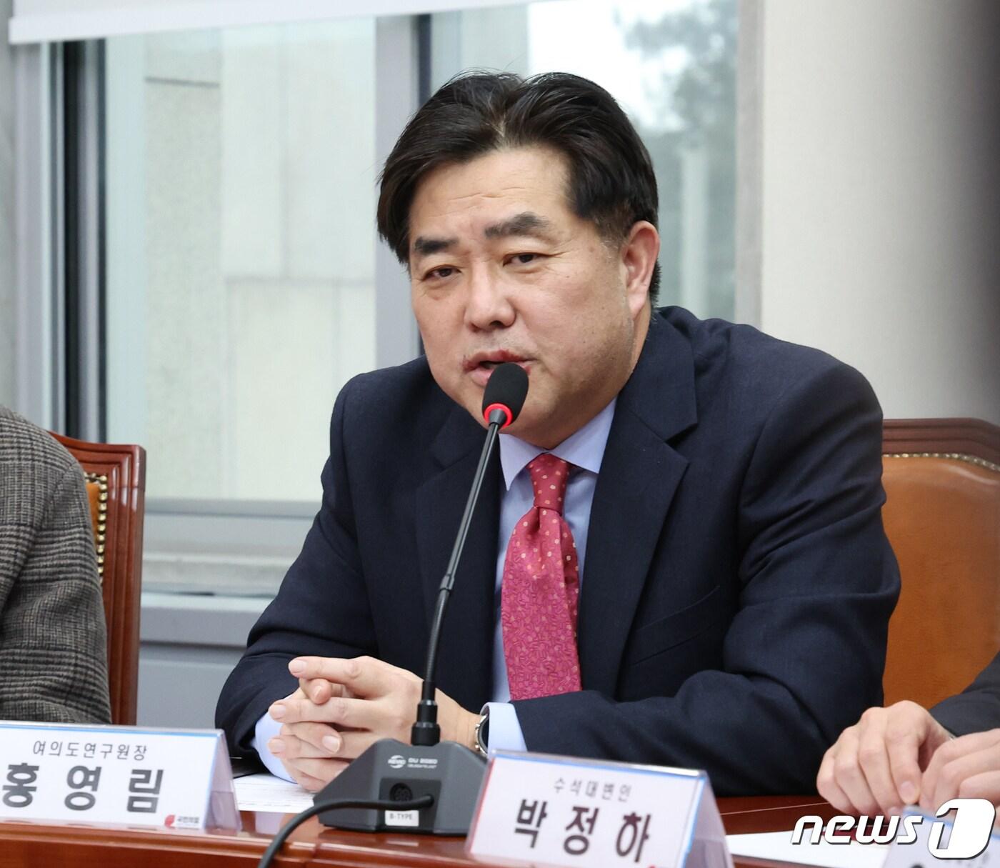 본문 이미지 - 홍영림 국민의힘 여의도연구원장 ⓒ News1 송원영 기자