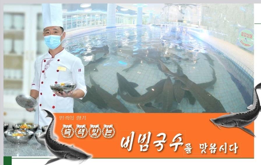 본문 이미지 - '철갑상어회 비빔국수'를 소개한 북한의 월간지 '금수강산' 12월호.(금수강산 갈무리)