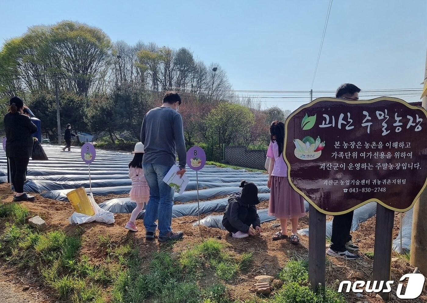 괴산군 귀농귀촌인 주말농장.(괴산군 제공)/뉴스1