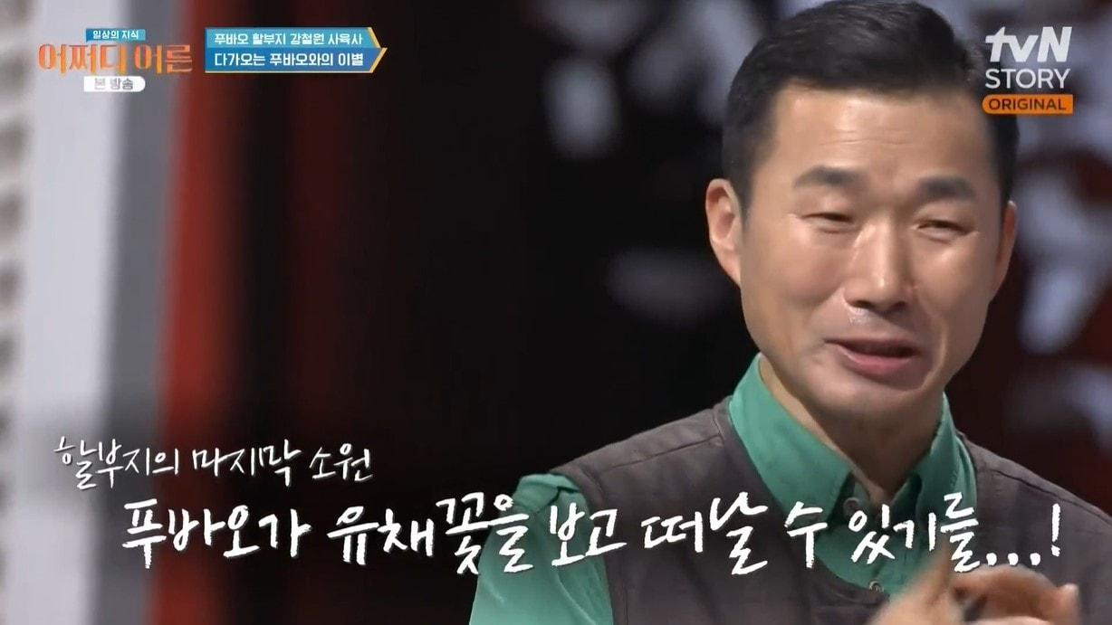 본문 이미지 -  (tvN STORY '어쩌다 어른')