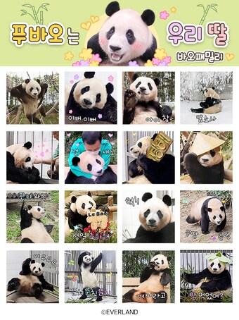 본문 이미지 - '푸바오는 우리 딸' 카카오 이모티콘(에버랜드 제공)