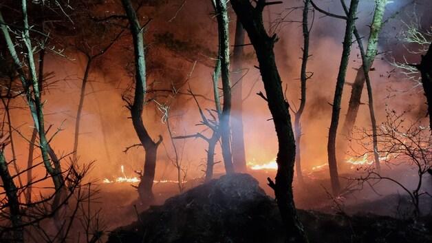 본문 이미지 - 자료사진/뉴스1