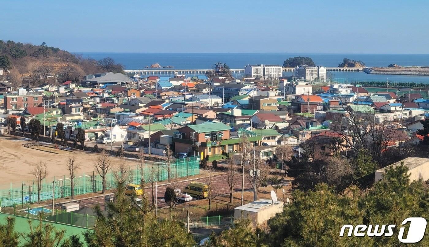 본문 이미지 -  인천 옹진군 연평면의 모습.2024.01.08 ⓒ News1 이시명 기자